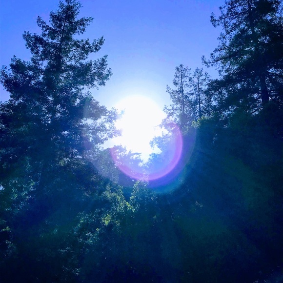 «««Posh Ambassador Dave! - Picture 2 of 3